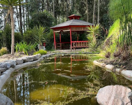 652100466_18091569149035609_5183557916357685489_n